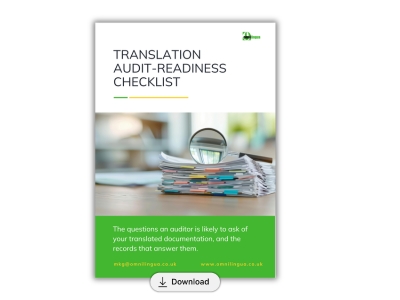 Translation Audit Checklist